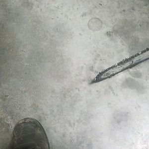 Meet your Posher, Rigoberto